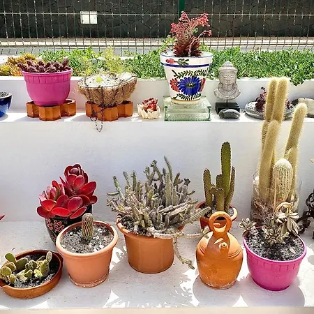 Casa Luna * Puerto del Carmen (Lanzarote)